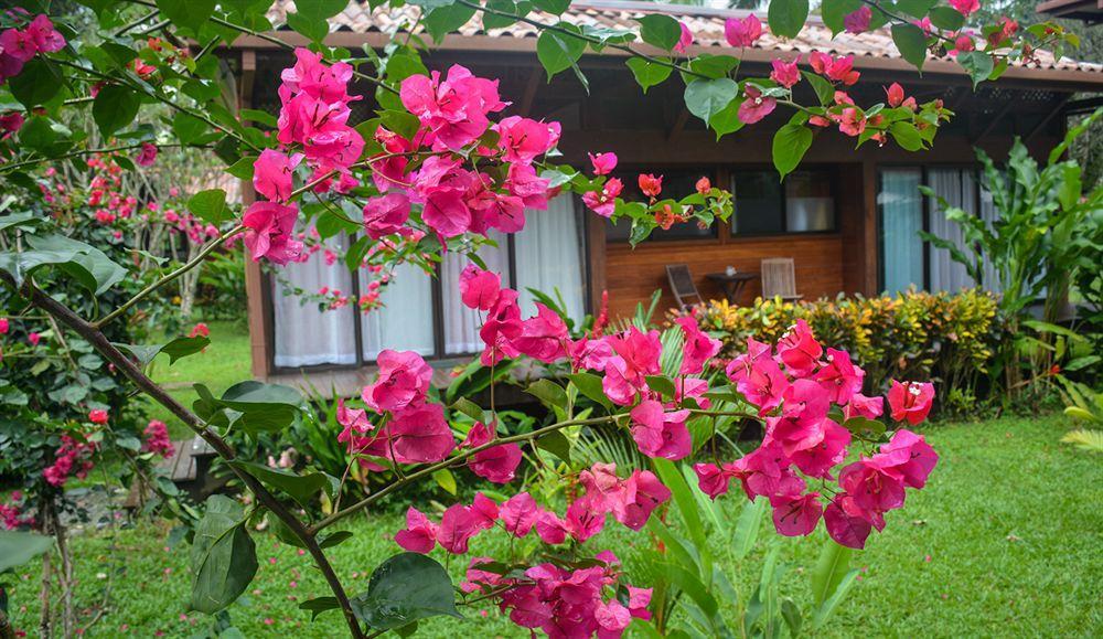 Kenaki Lodge Puerto Viejo de Talamanca Exterior photo